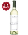 Oprisor Caloian Sauvignon Blanc 5+1