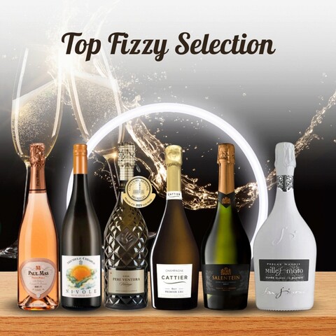 Top Fizzy Selection